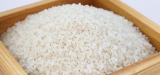 シャドーイング動画解説：“El arroz”「お米」