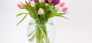 ramo-tulipanes
