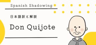 shadowing-don-quijote