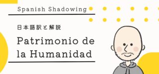shadowing-patrimonio-humanidad