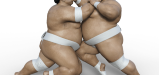 sumo-pareja